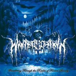 Winter's Dawn : Wandering Through the Realm of Frosted Beauty